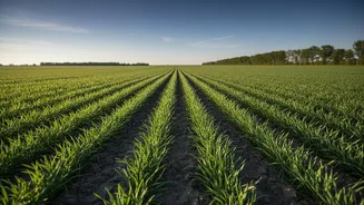 The Latest Discussion Around The Latest Kisan Credit Card Assessment Centres On Farm-Value Calculations