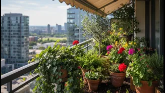 Balcony Gardens Need Less Water, More Watching