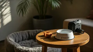 These Cafés Welcome Both You And Your Pet