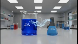 The Hidden Difference Between Protein Content and Usable Protein Explained