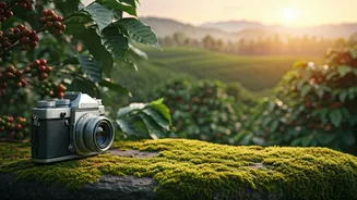 Why Your Instagram Needs A Coorg Honeymoon Reel
