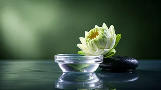 Monsoon Skin Needs Less Grease, More Balance