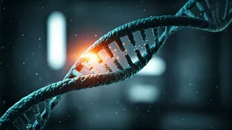CRISPR Breakthrough: Partially Silencing Extra Chromosome 21 for Down Syndrome Treatment
