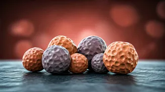 Kidney Stones: The Natural Supplement Solution