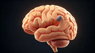 Beat Chemotherapy Brain Fog: Exercise and Ibuprofen Show Promise in New Study