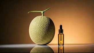 Kalahari Melon Oil Works For Beauty Minimalists