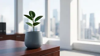 Why Equity Linked Savings Schemes Offer Inflation Beating Growth Potential Compared To Fixed Rate PPF Accounts