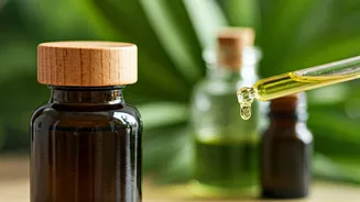 Beat Summer Dandruff: 5 Natural Oils for a Healthy, Flake-Free Scalp