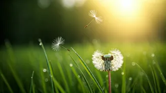 Mastering Overwhelm: 5 Quick Exercises to Instantly Regulate Your Emotions