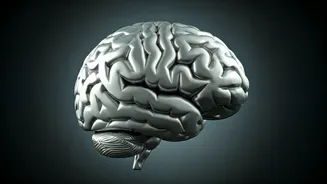 Paris Hilton's RSD Battle: A Deep Dive