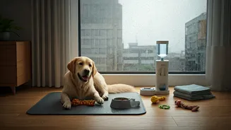 Urban Pet Parents Need A Rainy Routine