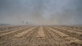 Why Agricultural Residue Smoke Can Become A Bigger Air Quality Issue After Monsoon