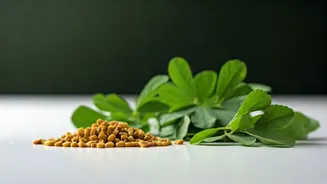 Fresh Methi Adds Flavor Everywhere