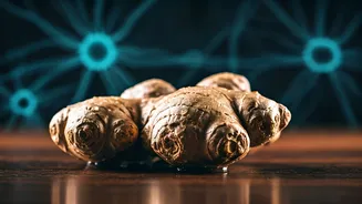 Unlock Your Brainpower: How Ginger Enhances Memory and Focus Naturally