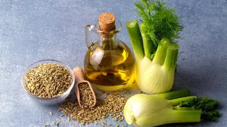 Kitchen Oil Guide: Cold-Pressed Seed Oils vs Refined Options For Heart-Healthy Cooking