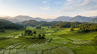 Combine Work And Music: Workation Tips For Ziro Valley Festival Season In Arunachal