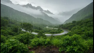 Easy Weekend Trips From Delhi During Monsoon