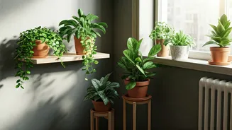 Renters Are Creating Green Corners Without Big Budgets