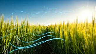 Unifying Agri-Tech: Bridging the Gap for Indian Farmers