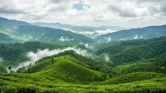India's Monsoon Booking Surge Turns Attention To Monsoon Travel No Longer Being A Quiet Season