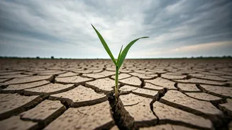 Why A Weak Monsoon Can Stretch Your Monthly Budget