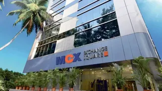 MCX shares gain 5% after SEBI looks towards banks, insurers for commodity derivatives participation