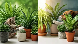 Cats And Dogs Make Plant Choices More Serious