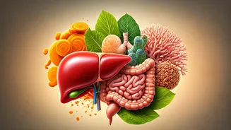 Fuel Your Inner Systems: Organ-Specific Foods for a Healthier You