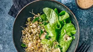 How Busy Desk Workers Upgrade Breakfasts With Easy High-Protein Sprout Salad Recipes Today