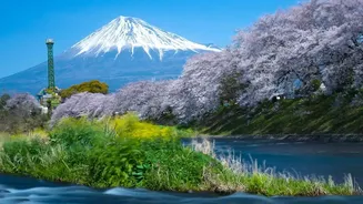 Japan Holiday Planning Made Simpler? What IRCTC's ₹3.46 Lakh Package Offers