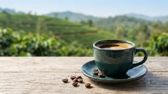 Discovering single-origin Arabica specialty Indian coffee beans from Chikmagalur Araku Valley and Coorg