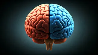 Boost Your Brainpower: 5 Easy Steps to Success