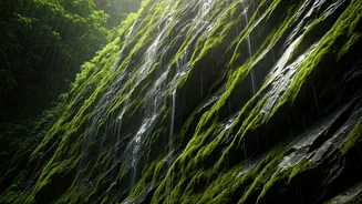 India's Rock Climbing Spots Turn Thrilling This Monsoon