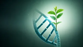 How Preventive Diagnostics Extends Youthful Lifespans For Gen Z