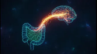 Glucose And Fructose Gut-Brain Research: The First Step Is To Separate Animal Findings From Human Advice