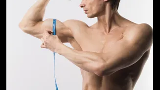 O melhor treino para ganhar músculos, segundo a ciência