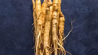 Root Vegetables Keep Well when Stored Cool, Dry and Unwashed