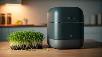 IITian's Ingenious Waste-to-Gas System: Fuel Your Kitchen for 7 Years!