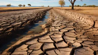 The Low-Water Gardening Shift Makes Plant Choice By Long-Term Water Needs Worth Considering