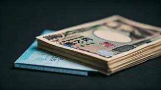 Visa Fees Can Sneak Into Japan Budgets