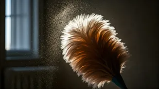 Allergy Relief: Clean Your Home Effectively