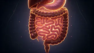 Gut Health Is Winning The Wellness Race