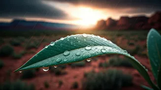The Monsoon Routine Everyone's Following
