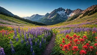 Trekkers Need To Move Before Blooms Disappear