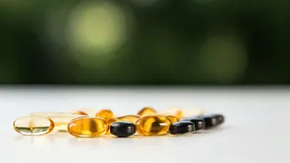 Top 10 Vitamin D Choices for Stronger Bones & Immunity