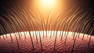 Hair Fall Anxiety Is Driving Scalp Awareness Fast