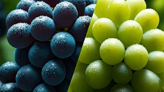 Green vs. Black Grapes: Decoding Antioxidants, Health Benefits, and Which to Choose