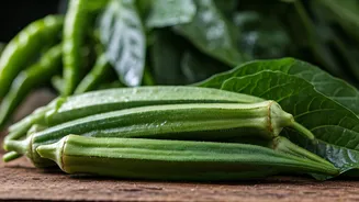 Easy Monsoon Crops Every Beginner Should Try