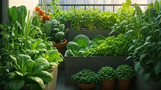 How This 200-Sq-Ft Terrace Garden Saves ₹5,000 On Monthly Veggies