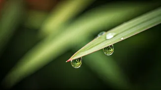 6 Japanese Wisdoms to Gently Quiet an Overthinking Mind